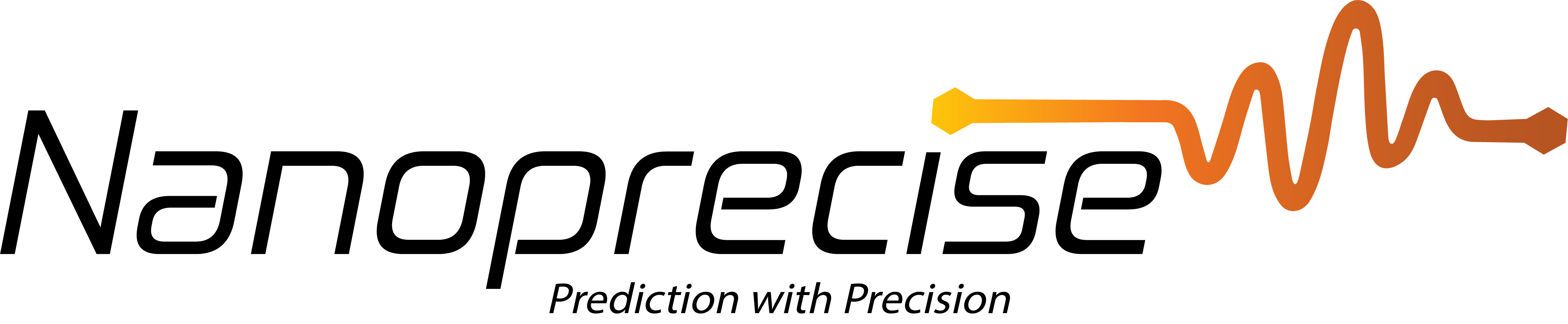 Nanoprecise - Original Logo Transparent-1